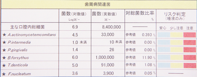 歯周病関連菌